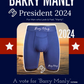 Barry Manly Boxer Brief Signature series